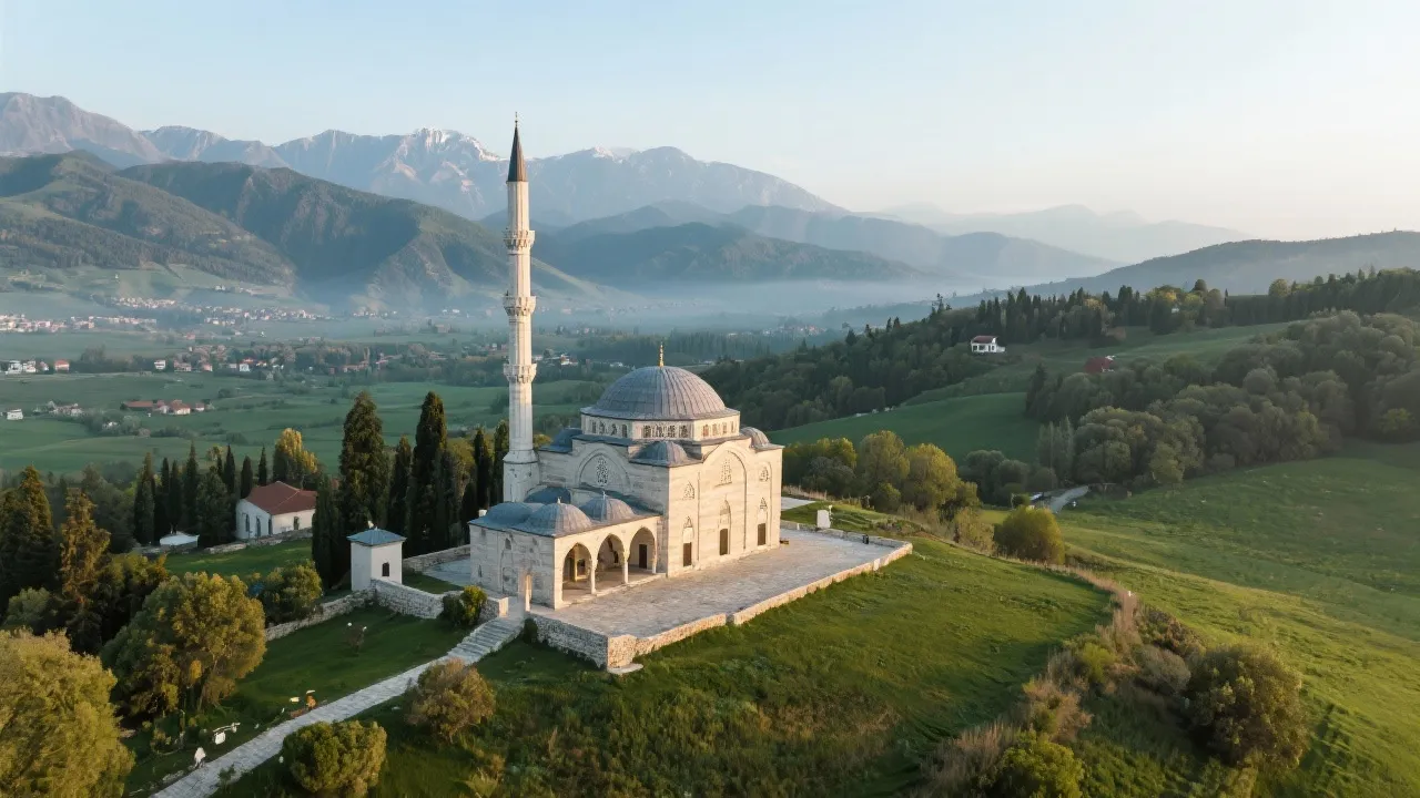 Exploring the Significance of Camis